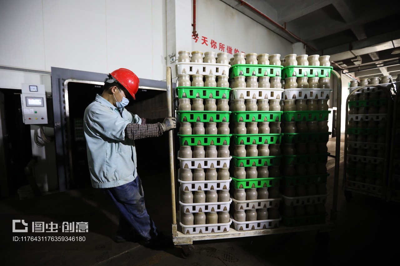 獨家:日產(chǎn)金針菇80噸 這個基地成江蘇之最