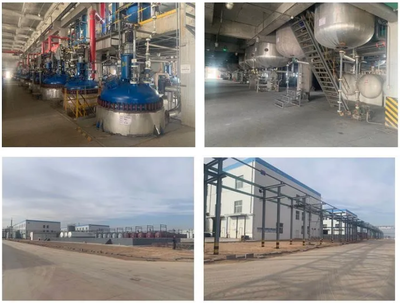 惡唑酰草胺、滅草松等原藥項目建成投產(chǎn),寧夏藍(lán)田已投資超過3.2億元